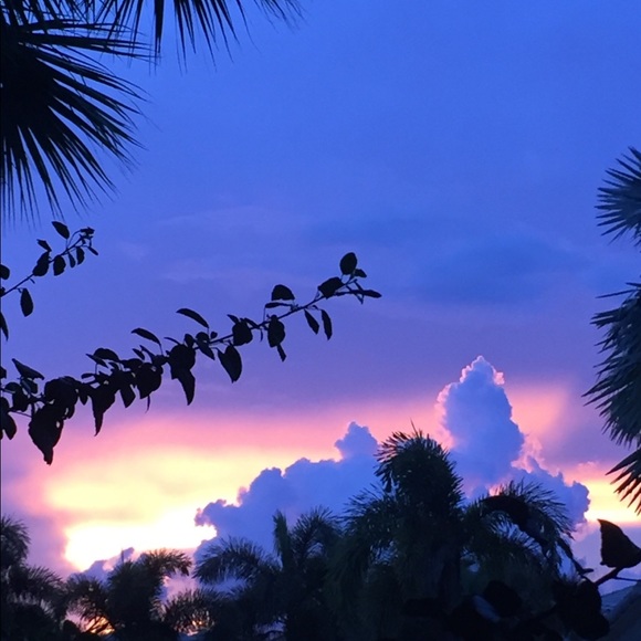 new/unworn/NWTs. my personal closet! - Picture 3 of 3